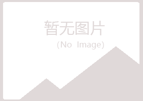 鹤岗东山映梦培训有限公司